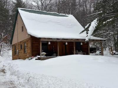 7534 N Old 27, Frederic, Michigan 49733, USA