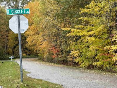 Lot #5 N Circle E, Farwell, Мичиган 48622, Соединенные Штаты