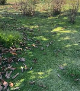 9767 Fairway, Kelseyville, Kalifornien 95451, USA