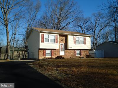 515 Pleasants, Fredericksburg, Virginia 22407, Estados Unidos