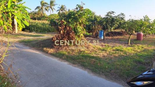 石子瀨, Danei Dist., Tainan 742, Taiwan