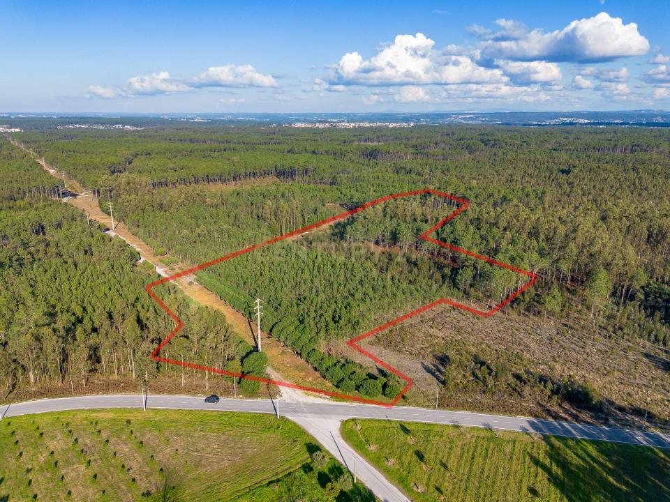 Marinha Grande, Leiria 2430-474, Portugal