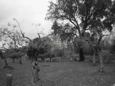 Portalegre, Portalegre 7300-318, Portugal