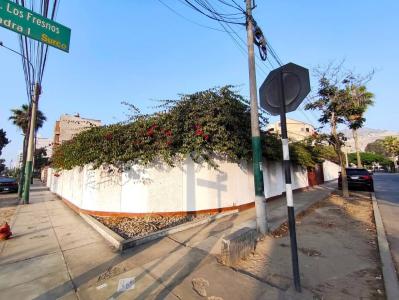 Cristobal de Peralta Sur , Lima, Lima 00001, Peru