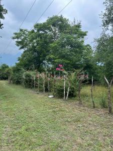 Santiago, Нуэво-Леон 67303, Мексика