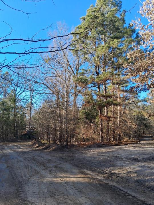 TBD Highway 37, Clarksville, 得克萨斯州 75426, 美国