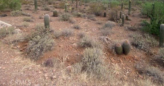 0 Vac/ Challenge Wy Vic Ave # L, Lancaster, Califórnia 93535, Estados Unidos