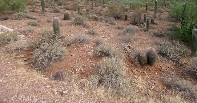 0 Vac/ Challenge Wy Vic Ave # L, Lancaster, Califórnia 93535, Estados Unidos