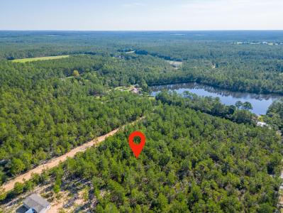 Lot B Avocado Lane, Defuniak Springs, Florida 32433, USA