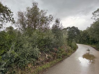 Alcanena, Santarem 2380-501, Portugal