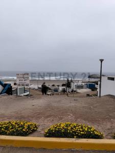 Las palmeras , Cañete, Lima 00001, Peru