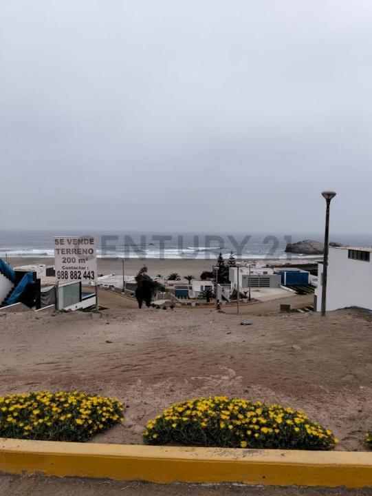 Las palmeras , Cañete, Lima 00001, Peru