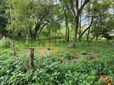 Ciervo Kua , San Bernardino, Cordillera 12345, Paraguay