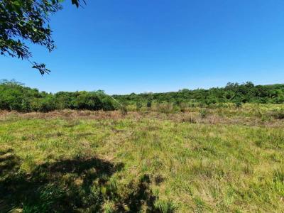 Altos, Cordillera 00001, Paraguay