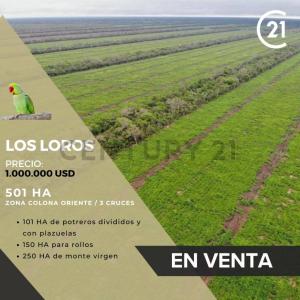 Este, Santa Cruz 0000, Bolivia