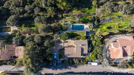 Nice, Provence-Alpes-Côte d'Azur 06200, France