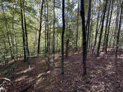 00 Hammett Grove Road, Spartanburg, SC 29307, USA