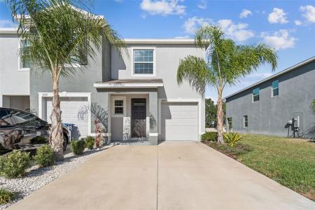 34267 Sorrel Mint Drive, Wesley Chapel, Florida 33543, USA