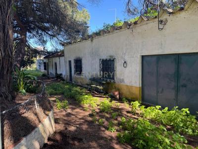 Alcochete, Setubal 2890-154, Portugal