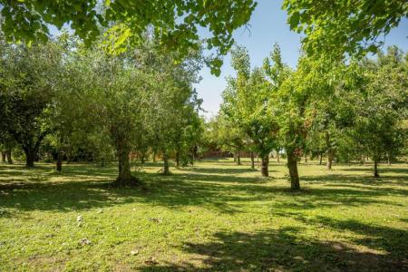 RUTA 3 KM 40 , San Miguel Del Monte, Buenos Aires (fuera De GBA) 1407, Аргентина