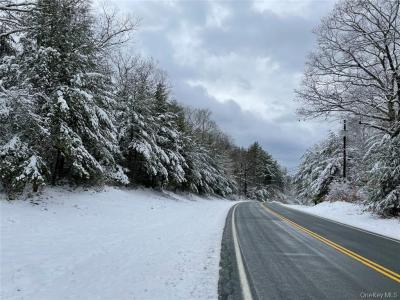 1315 Sackett Lake Road, Forestburgh, New York 12777, États-Unis