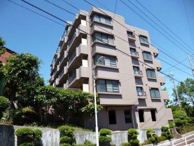 502, 徳丸１丁目５１－８, サンパレス徳丸第５, 板橋区, 东京 175-0083, 日本