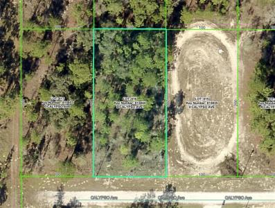 Lot 16 Calypso Avenue, Brooksville, Florida 34614, USA