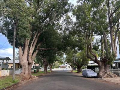 16 Boulton Terrace, Toowoomba, QLD 4350, Australia