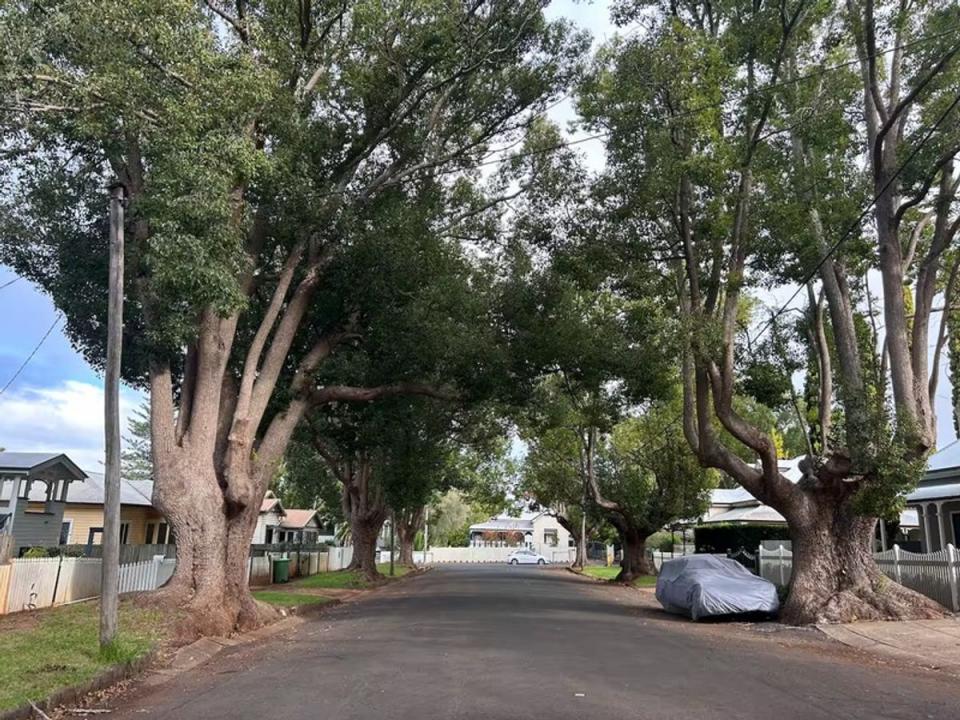 16 Boulton Terrace, Toowoomba, QLD 4350, Australie