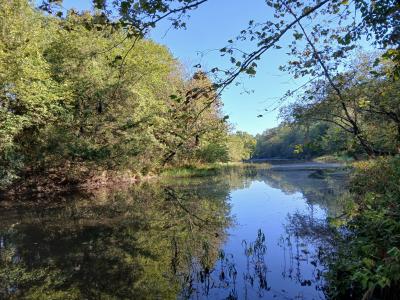 Unk Polk Road 74, Mena, 阿肯色州 71953, 美國