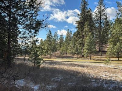 31861 Meadow Road, Polson, Montana 59860, États-Unis