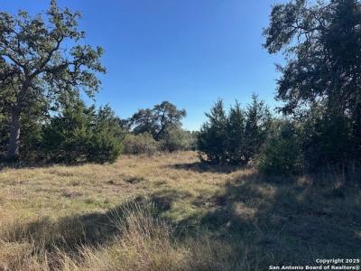559 (LOT 1680) Curvatura, New Braunfels, Texas 78132, USA