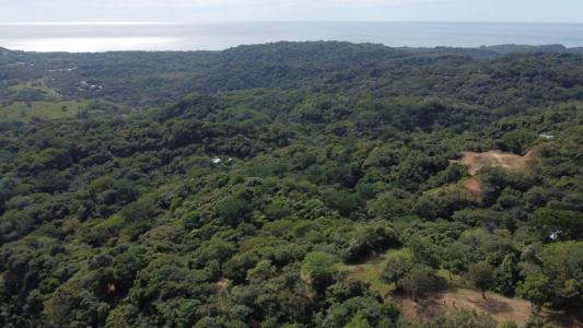 Guiones Nosara Nicoya, Guanacaste 50206, Costa Rica