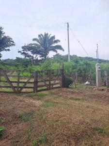 Sur, Santa Cruz 00001, Bolivia