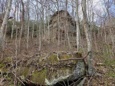 Kiser Fork Rd, Olive Hill, Kentucky 41164, USA