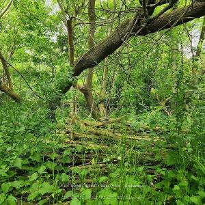 0-B HOWARD (NORTHWEST LOT) STREET, Port Hope, Ontario L1A 0B2, Canada