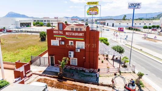 Alacant/Alicante, Comunitat Valenciana 03770, España