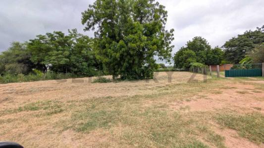 Augusto roa bastos , Loma Plata, Boquerón 00001, باراغواي