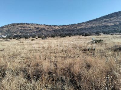 Granjas familiares III Etapa s/n,, Cuauhtémoc, Chihuahua 31590, Mexico