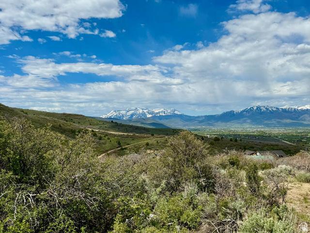 7321 E OAKVIEW DR 1473, Heber City, Utah 84032, USA