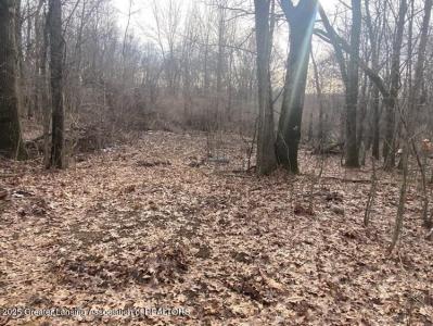 0 Kimberly Court, Onondaga, Michigan 49264, USA