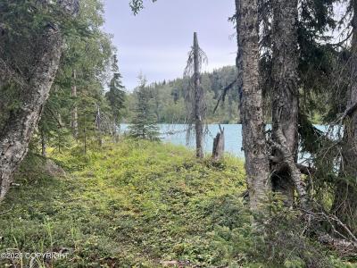 L2 Jackie Ann Street, Kasilof, Alaska 99610, Stati Uniti