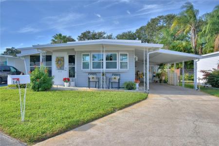 141 PARADISE LANE, AUBURNDALE, Florida 33823, USA