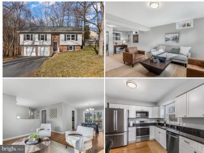 1703 Sherwood Dr, Fredericksburg, Virgínia 22405, Estados Unidos