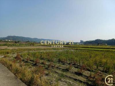 雲埔段, Xinpu עיירה, מחוז Hsinchu 305, טיוואן 