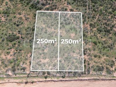 Jose Rodriguez 4,, Ensenada, Baja California 22785, Mexico