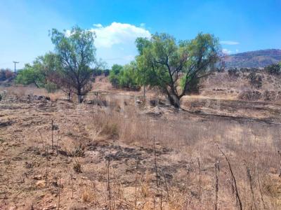 Fantasma 14,, Atotonilco De Tula, Hidalgo 42990, Meksika