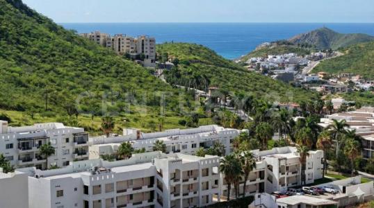 Del Aguila 502,, Los Cabos, Baja California Sur 23470, Mexico