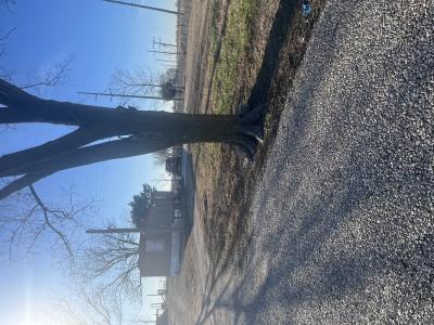 835 State Highway 84, Hayti, Missouri 63851, USA