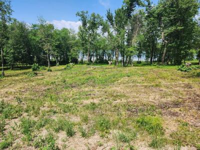 Lot 2 125th Street, Dalton, Minnesota 56324, USA